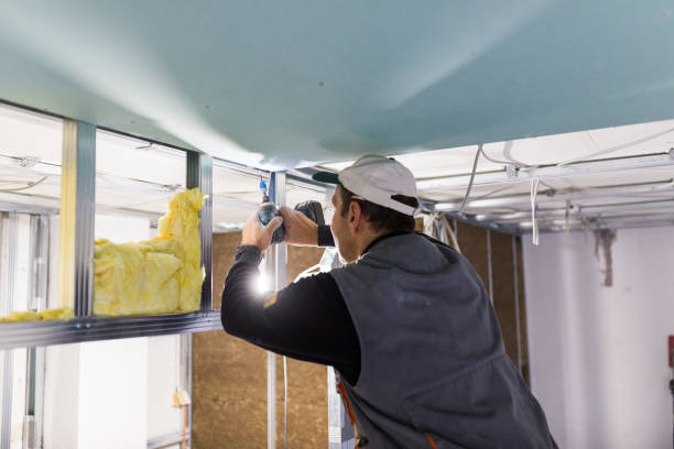 Best Geographic-Specific Insulation Services in St Clairsville, OH