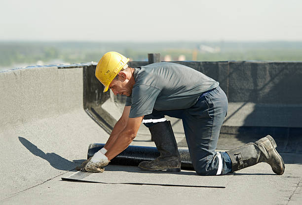 Best Specialized Insulation Services in St Clairsville, OH